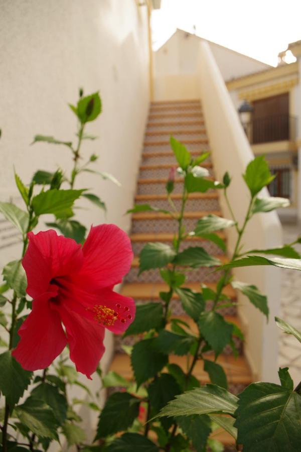 Apartamento Tropical Playas de Vera Esterno foto